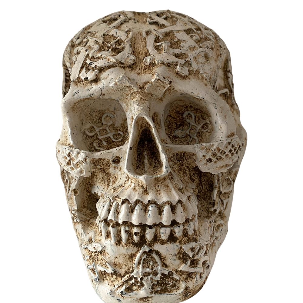 Resin Skull, 12cm