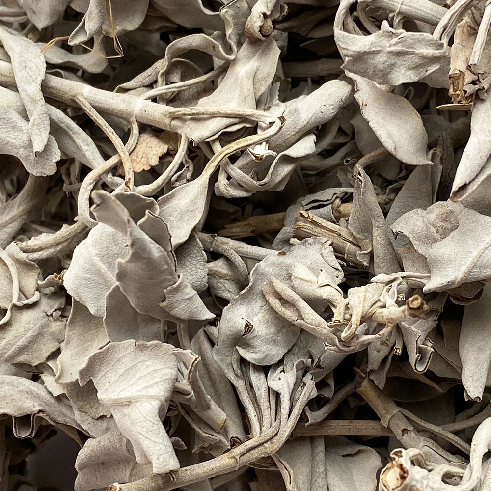 Loose White Sage 1lb