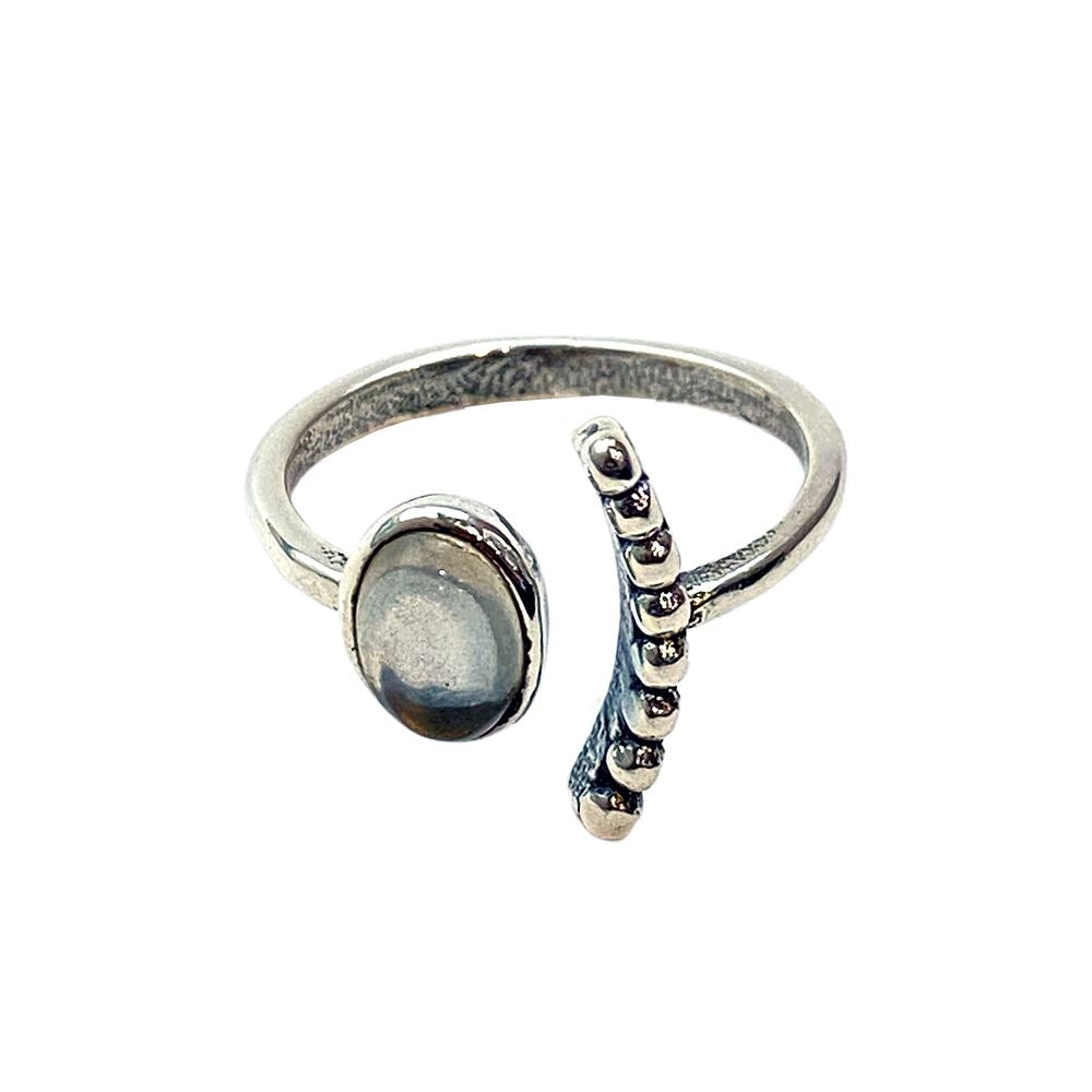 Silver-Plated Adjustable Ring (#43)