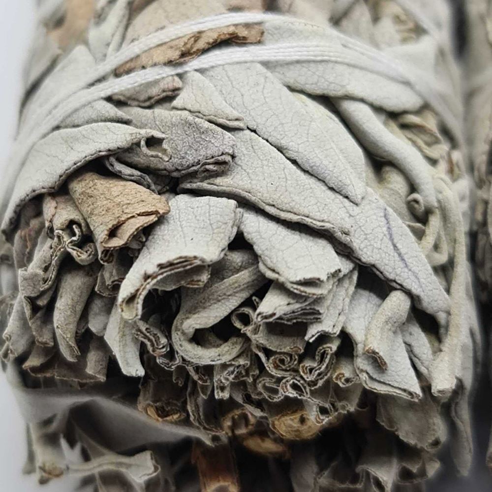 Smudge Stick, White Sage 5"-6"