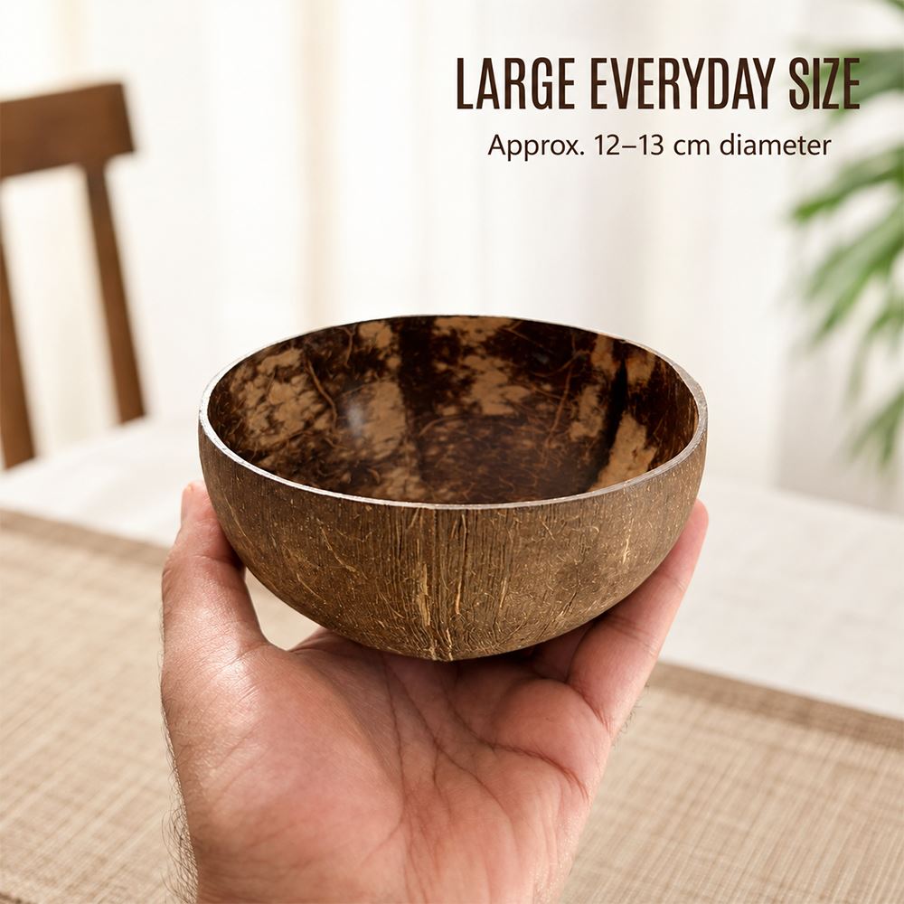 Natural Coconut Shell Bowls Food-Safe Lacquered Interior Large 12-13cm