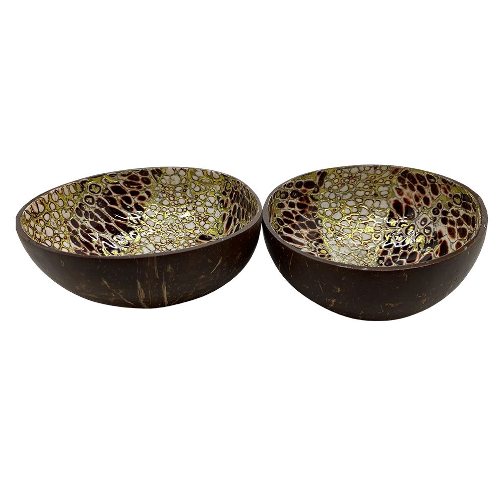 Hand-Painted Coconut Bowls, Lacquered, Set of 2