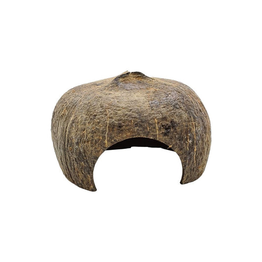 Coconut Hut
