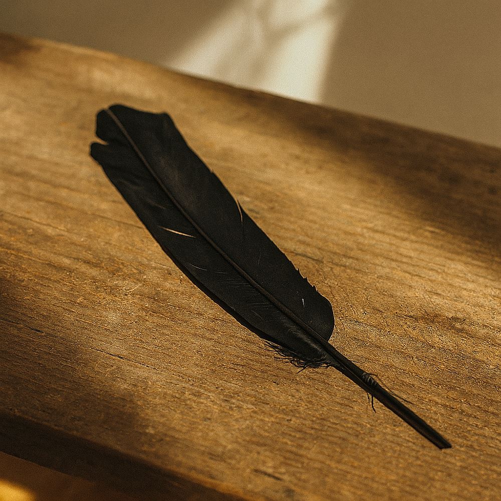 Turkey Feather, 10-12 inch, Single