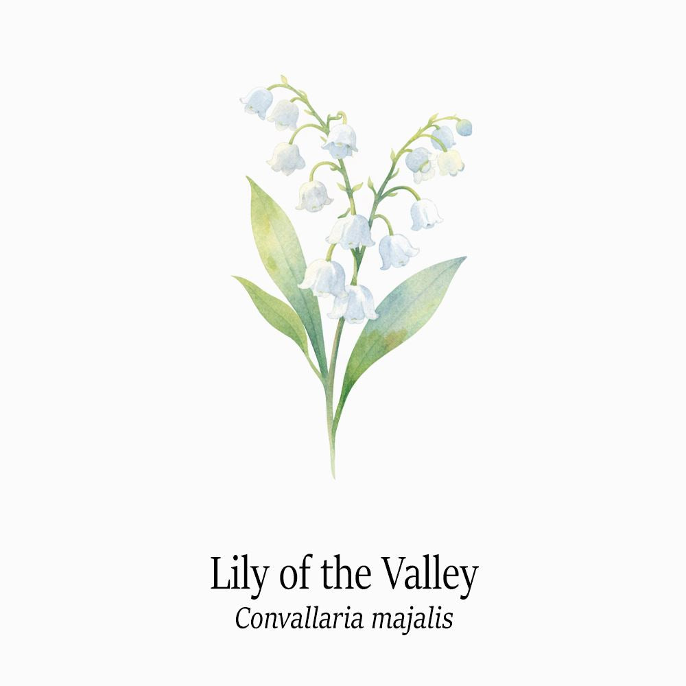 Petal Keepsakes Gemstone Bracelet, Lily of the Valley