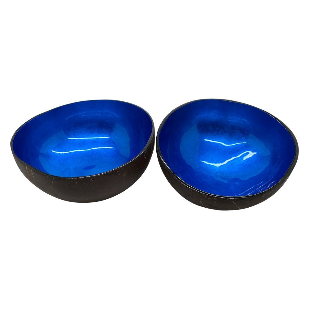 Hand-Painted Coconut Bowls, Lacquered, Set of 2
