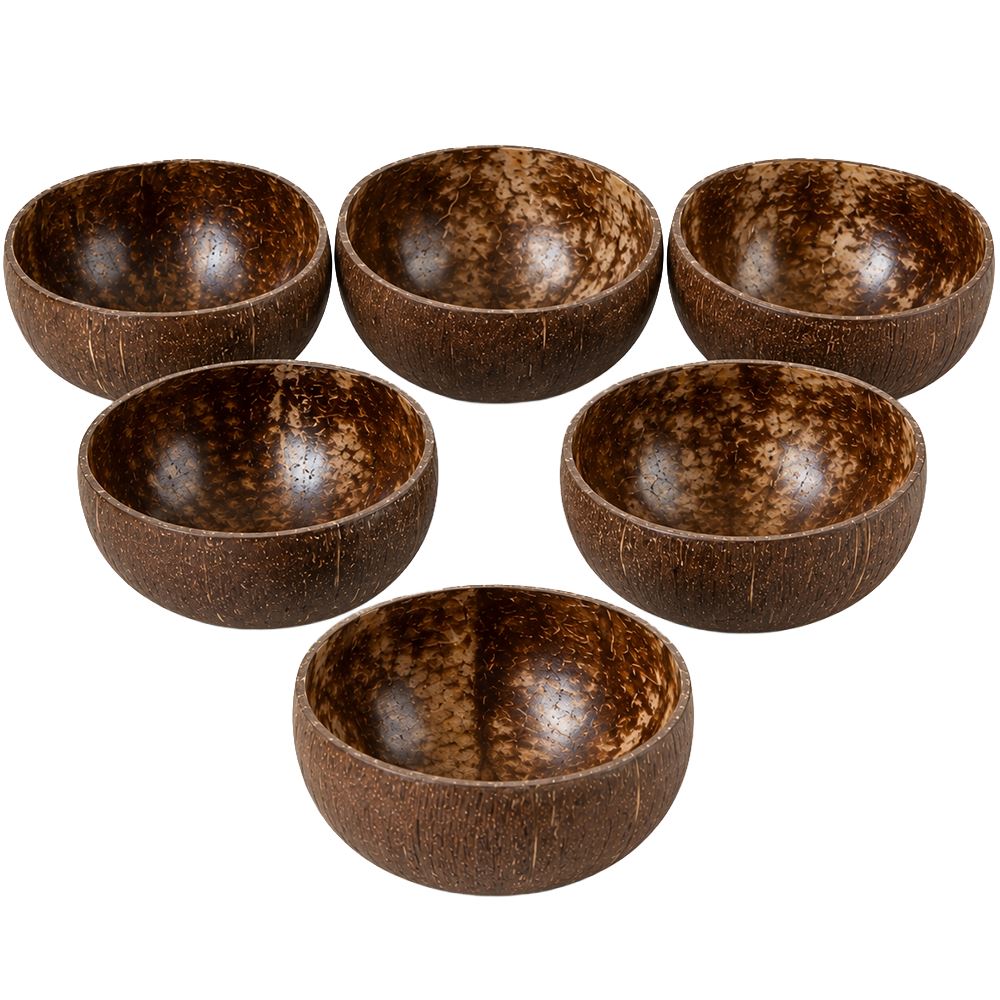Natural Coconut Shell Bowls Food-Safe Lacquered Interior Large 12-13cm