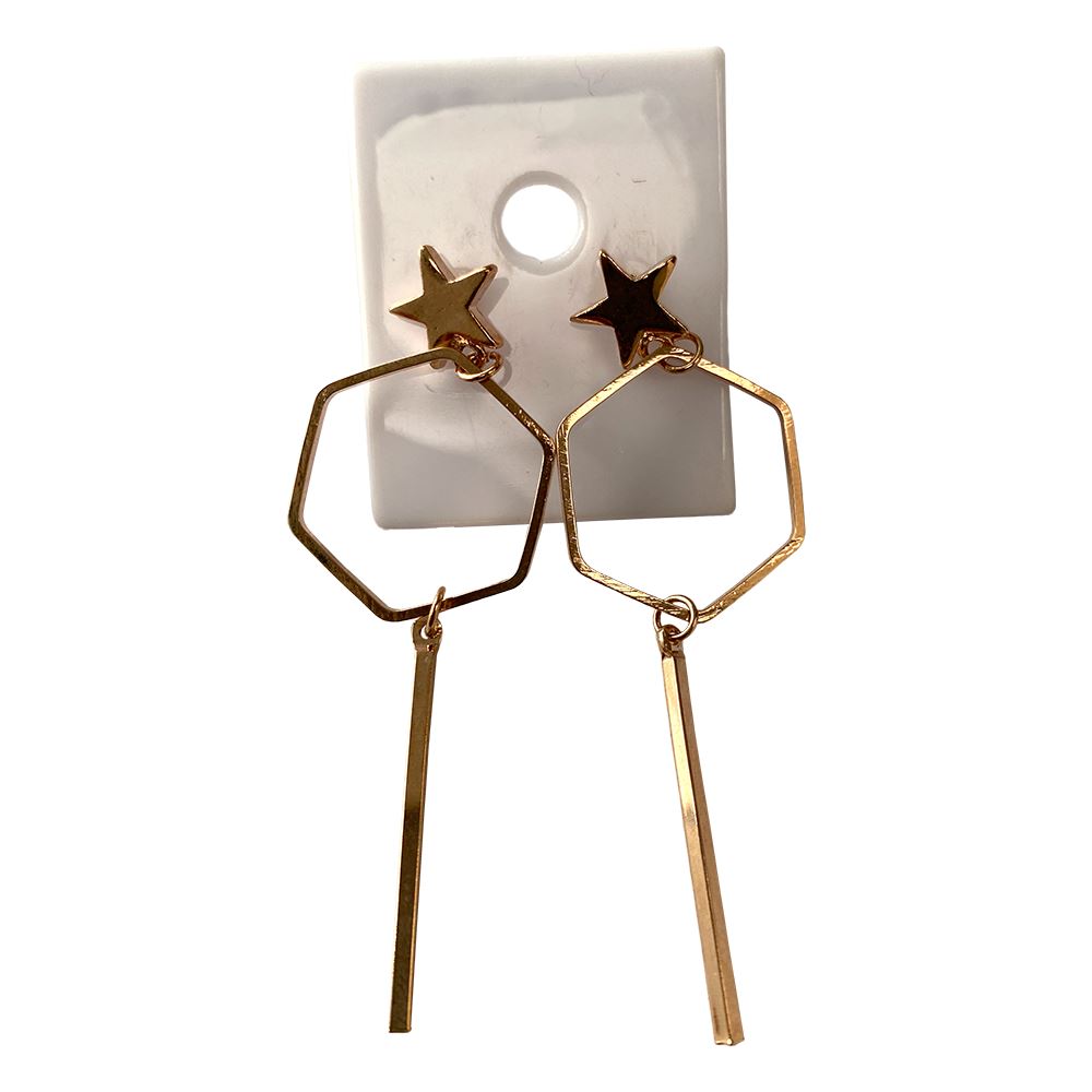 Fashion Earrings