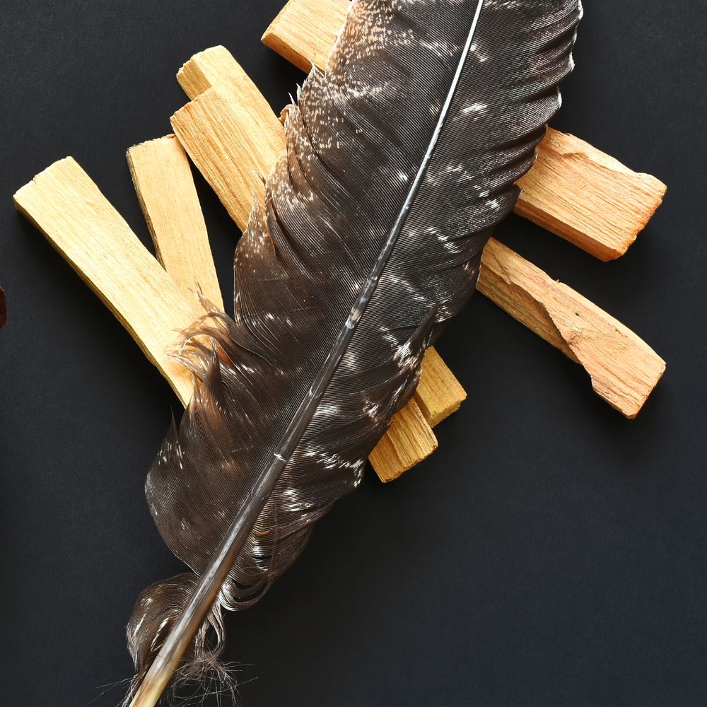 Turkey Smudge Feather, 8-10 inch