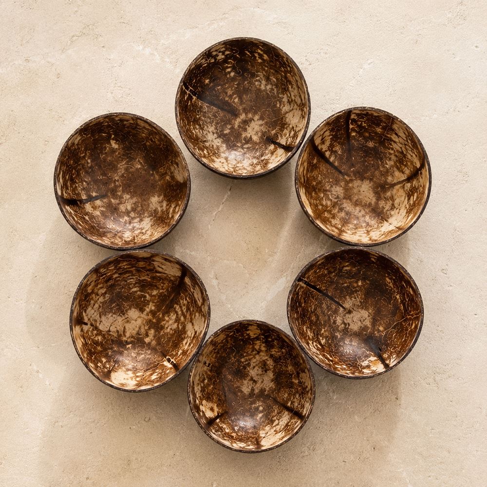 Natural Coconut Shell Bowls, Food-Safe Lacquered Interior Jumbo 14-16cm