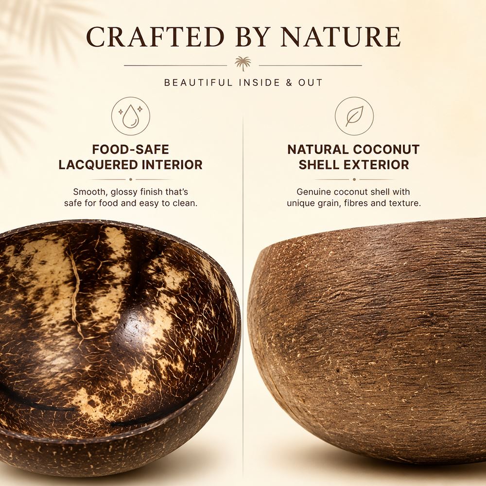 Natural Coconut Shell Bowls Food-Safe Lacquered Interior Large 12-13cm