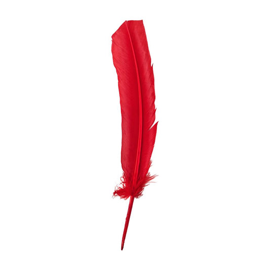 Turkey Feather, 10-12 inch, Single