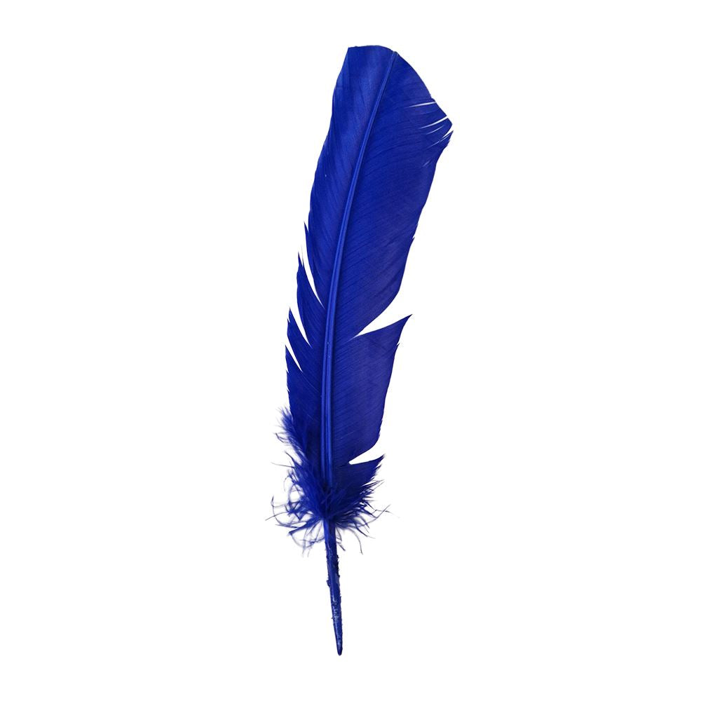 Turkey Feather, 10-12 inch, Single