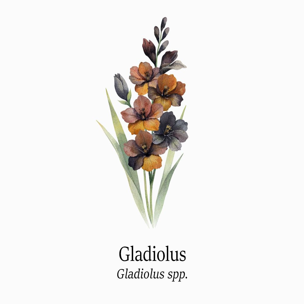 Petal Keepsakes Gemstone Bracelet, Gladiolus