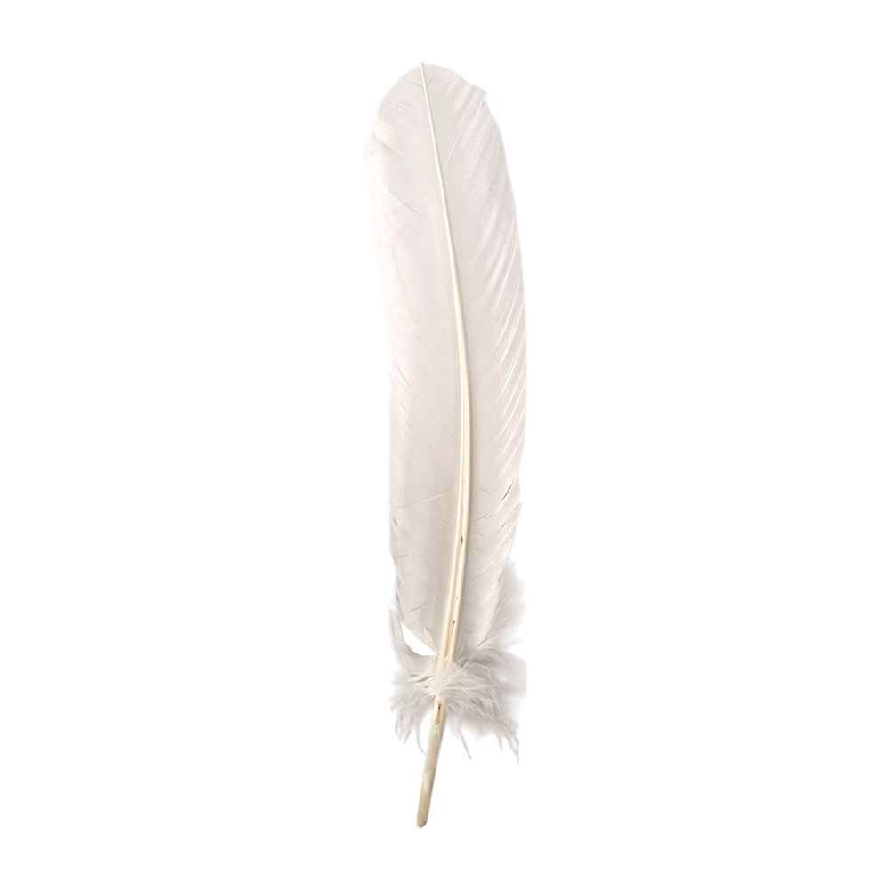 Turkey Feather, 10-12 inch, Single