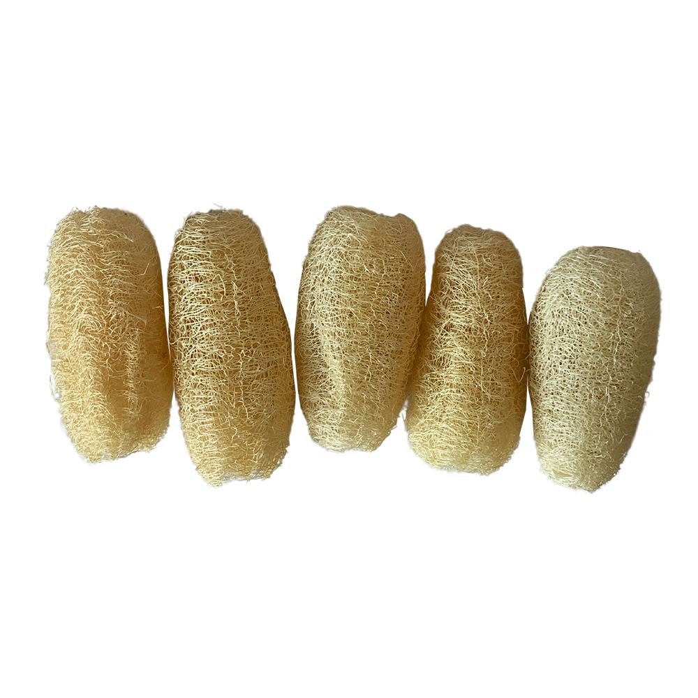 Loofah Natural Conical