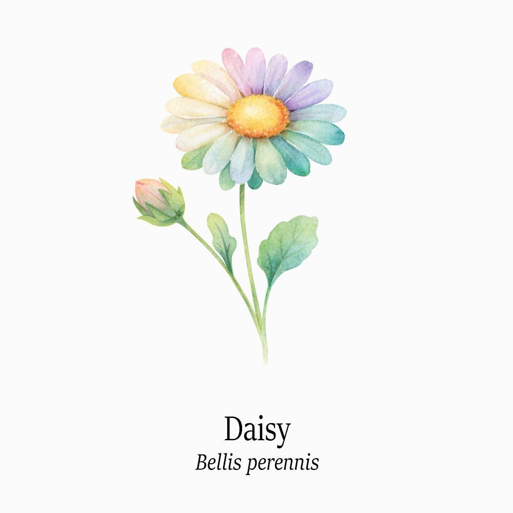 Petal Keepsakes Gemstone Bracelet, Daisy