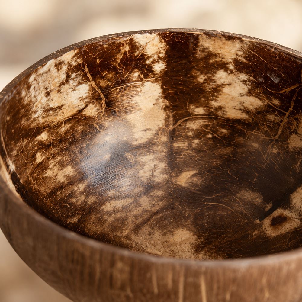 Natural Coconut Shell Bowls, Food-Safe Lacquered Interior Jumbo 14-16cm