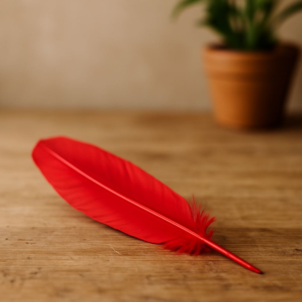 Turkey Feather, 10-12 inch, Single