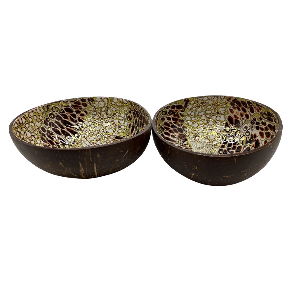Hand-Painted Coconut Bowls, Lacquered, Set of 2