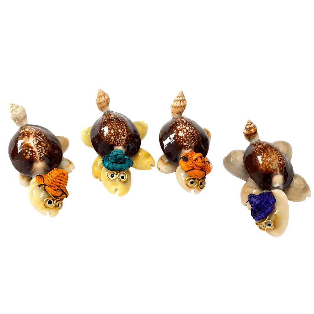 Handmade Miniature Seashell Turtles with Straw Hats & Glasses, 2-3cm, Assorted, Set of 5