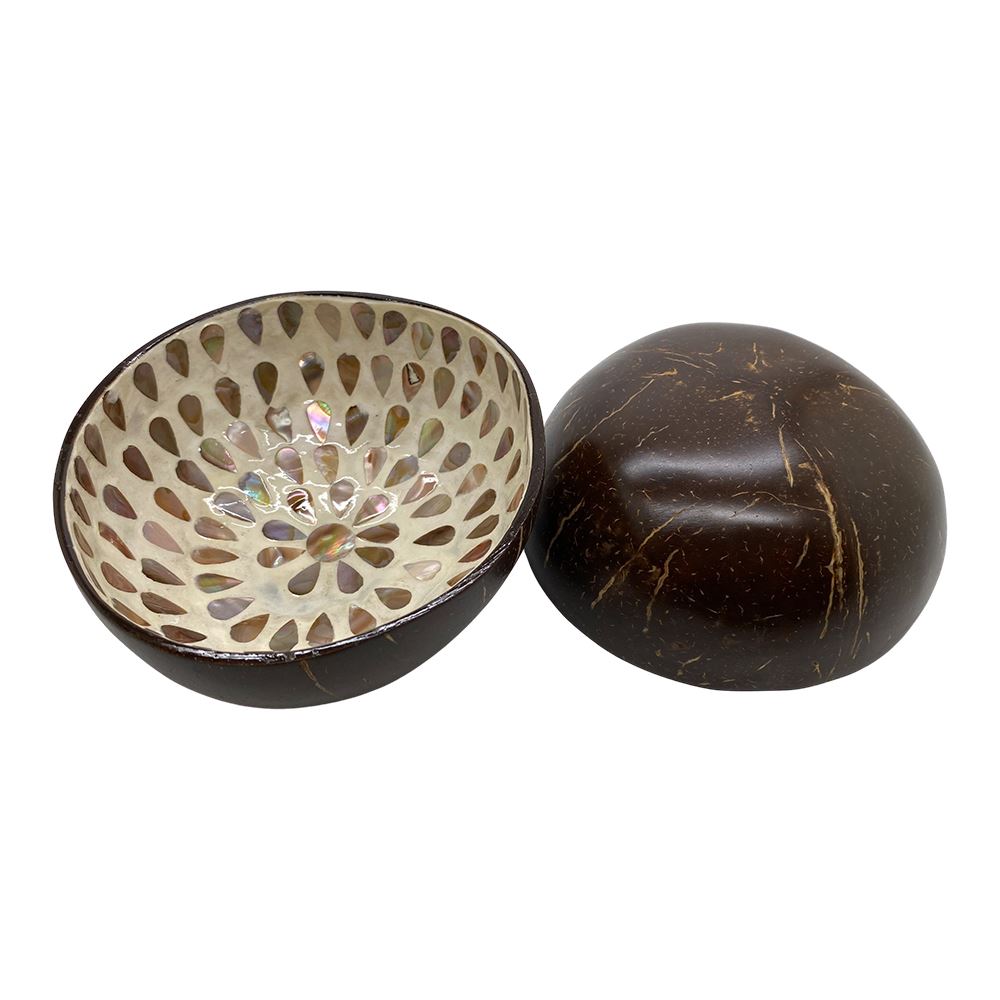 Hand-Painted Coconut Bowls, Lacquered, Set of 2
