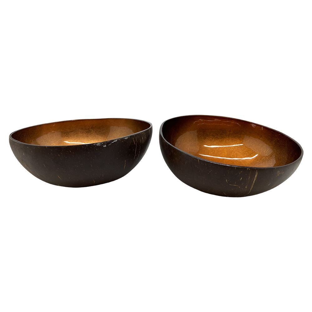 Hand-Painted Coconut Bowls, Lacquered, Set of 2
