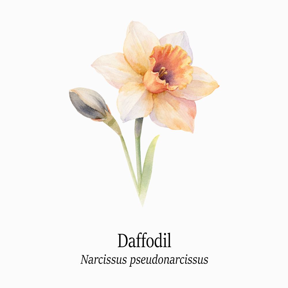 Petal Keepsakes Gemstone Bracelet, Daffodil