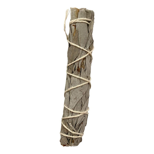 Slimline Sage Smudge Stick, White Sage 4"