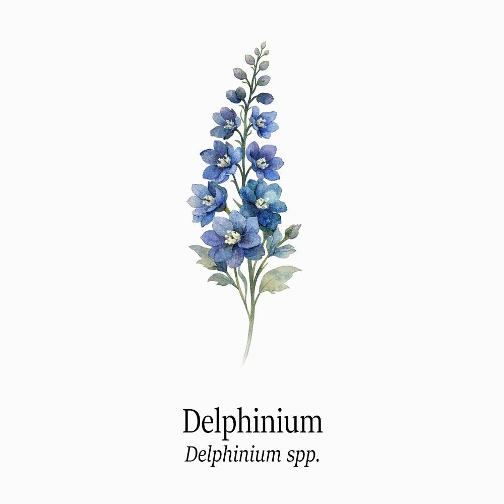 Petal Keepsakes Gemstone Bracelet, Delphinium