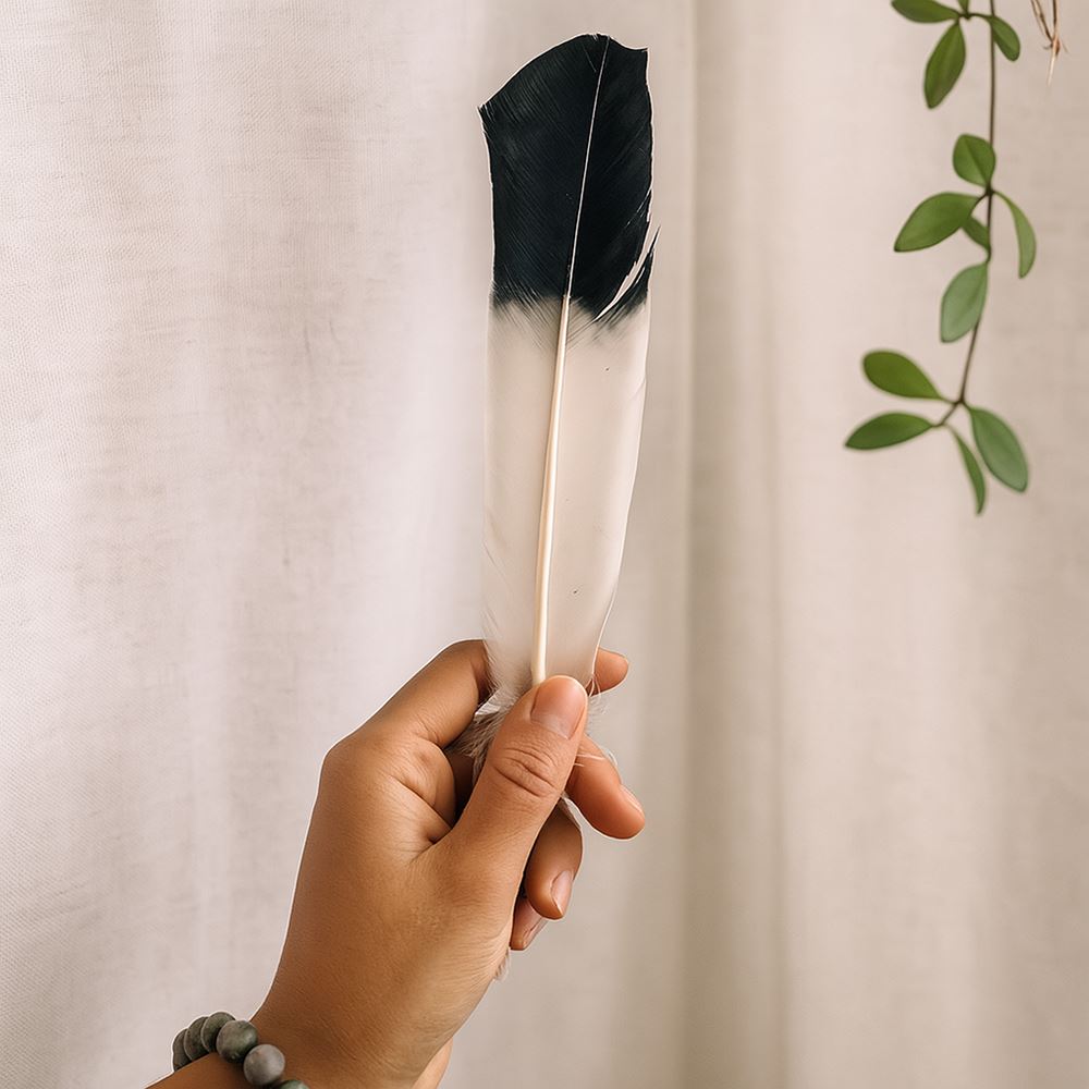 Turkey Feather, 10-12 inch, Single
