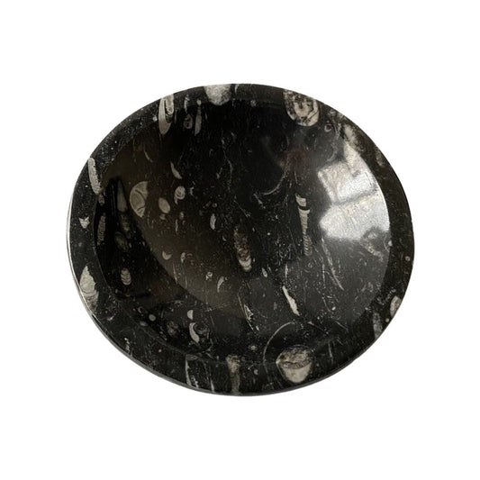 Orthoceras Bowl, 10x2cm