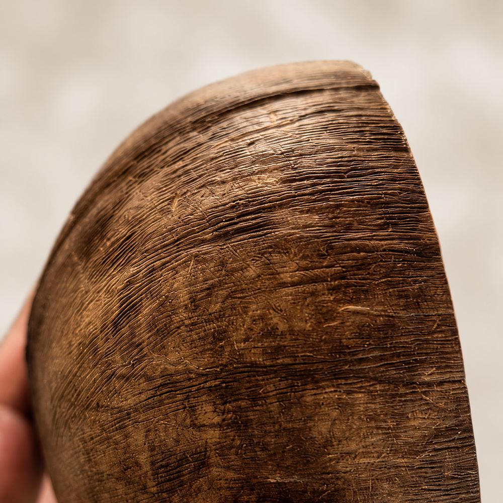 Natural Coconut Shell Bowls, Food-Safe Lacquered Interior Jumbo 14-16cm