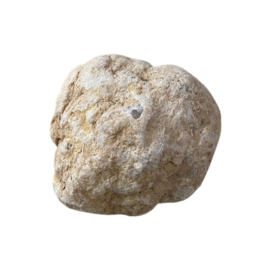 Uncracked Geodes, Small, 6-8cm, 1kg