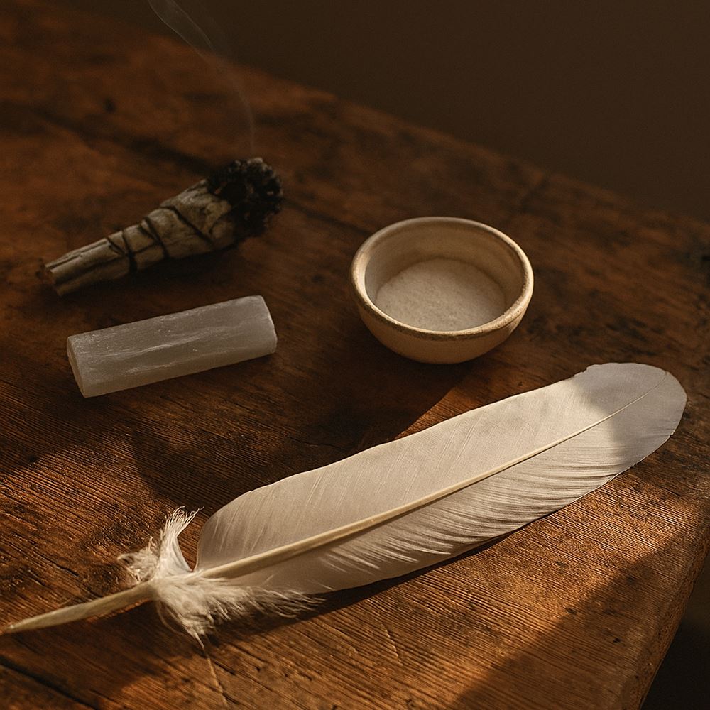 Turkey Feather, 10-12 inch, Single