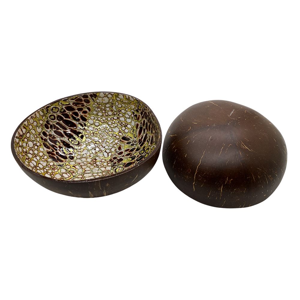 Hand-Painted Coconut Bowls, Lacquered, Set of 2