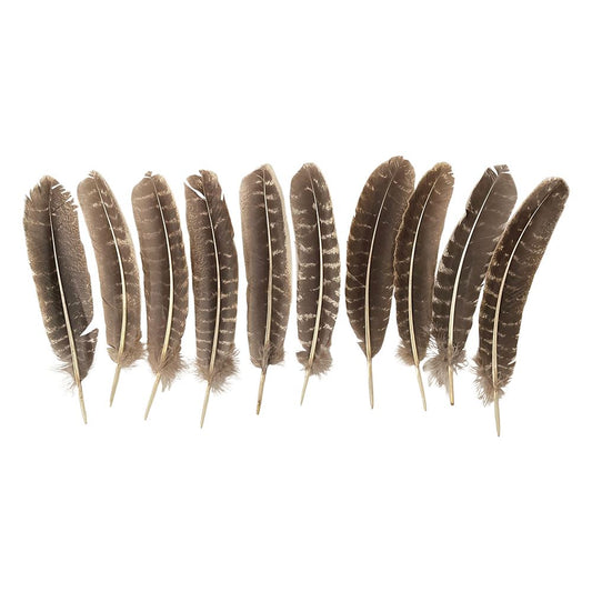 Turkey Feather, Natural, 10-12 inch, Pack of 10